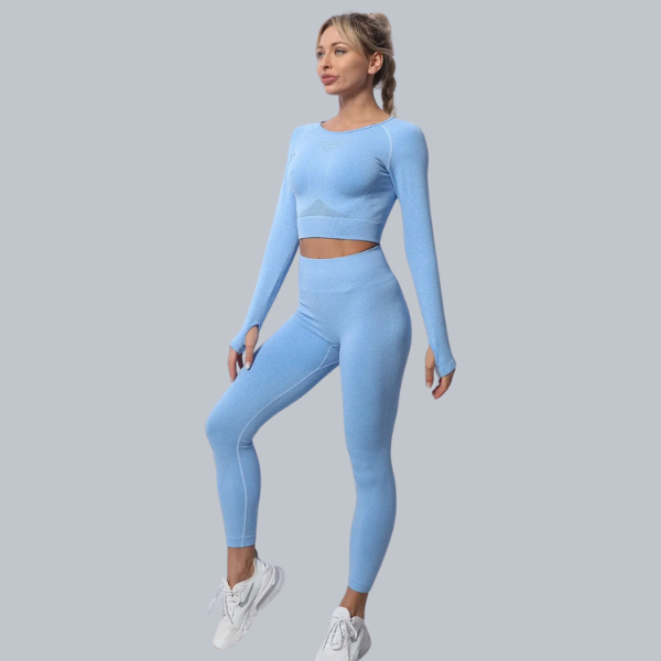 Seamless Women Sportswear Yoga Set Gym Clothing Tracksuit Long Sleeve Crop Top High Waist Leggings for Fitness Sports Short Suit